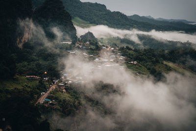 Aerial view of town amidst forest