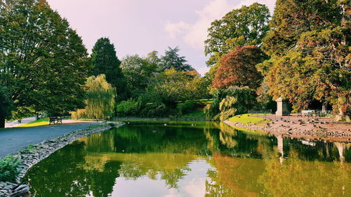 Scenic view of lake by trees against sky