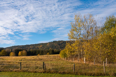 Trees on field against sky during autumn