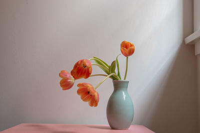 Close-up of tulip flowers in vase on table against wall at home