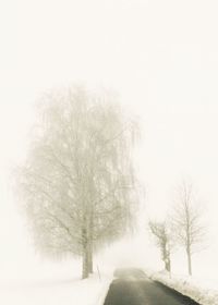 Road passing through snow covered landscape