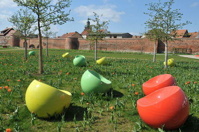 Close-up of plants growing on field by building against sky