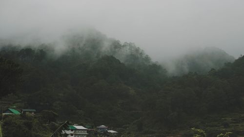 Scenic view of trees and mountains against sky