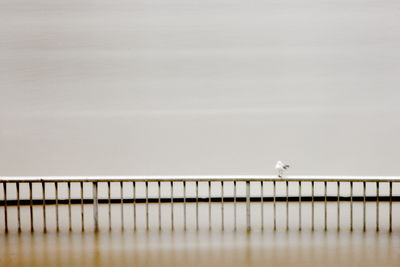 Bird perching on railing by sea against clear sky