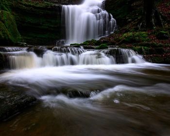 Scenic view of waterfall in forest
