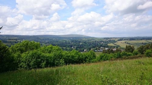 Scenic view of agricultural field and houses against sky