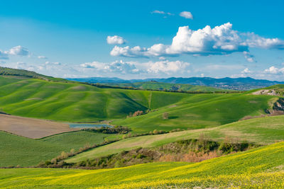 Scenic view of agricultural field against sky