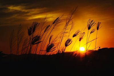 Scenic view of silhouette field against sky during sunset