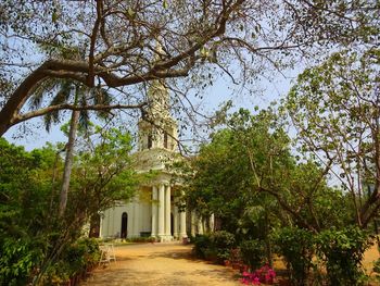 Trees in front of historic building