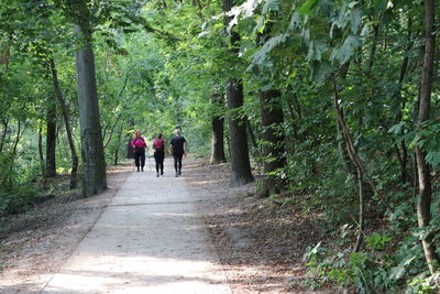 People walking amidst trees on road at forest