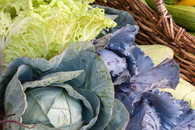 Close-up of vegetable on sale