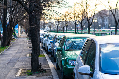 Cars on street in city