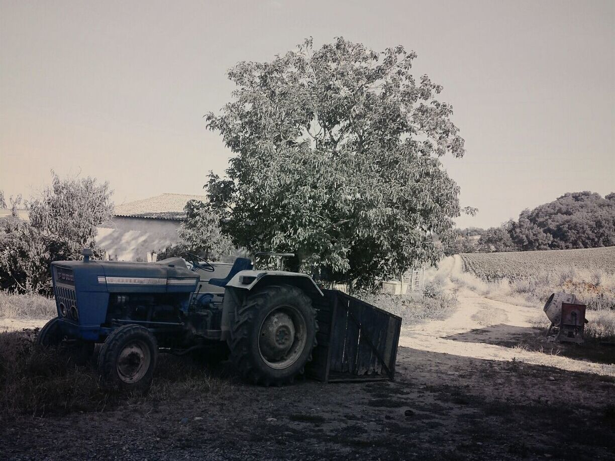 transportation, clear sky, land vehicle, mode of transport, tree, car, field, landscape, abandoned, nature, copy space, sky, tranquility, outdoors, tranquil scene, day, stationary, sunlight, sand, no people