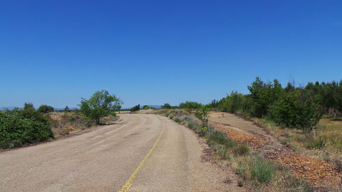 Empty road along trees