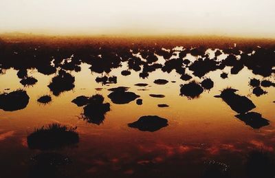 Scenic view of river at sunset