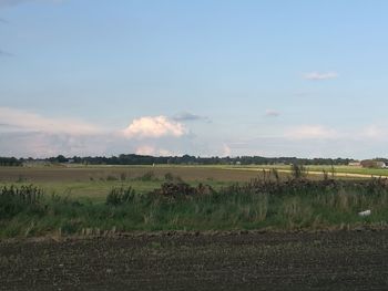 Scenic view of agricultural field against sky