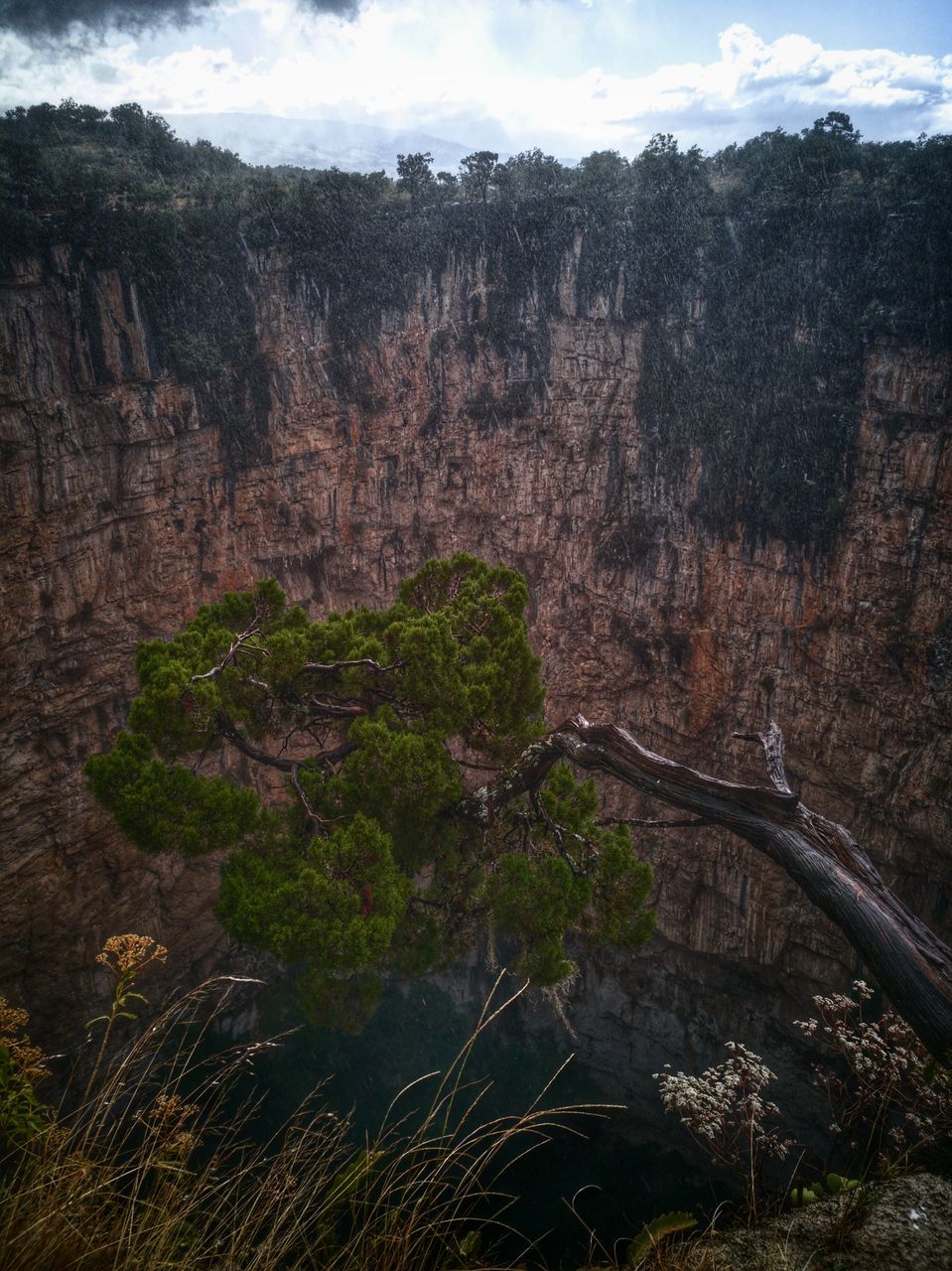 nature, sky, cloud - sky, tree, tranquility, no people, beauty in nature, tranquil scene, scenics, growth, geology, landscape, outdoors, mountain, day, backgrounds, close-up, star - space, galaxy