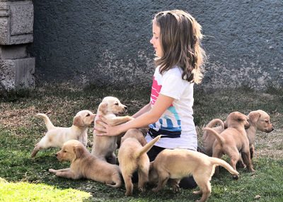 Girl playing with puppies on field