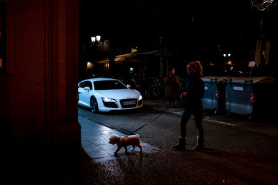 Dog standing on street at night