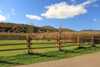 Scenic view of green landscape against sky