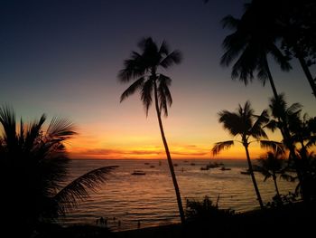 Palm trees on beach at sunset