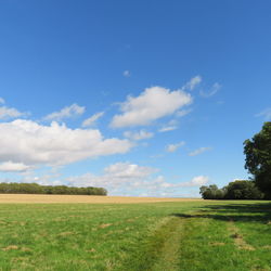 Scenic view of field against sky