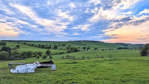 Scenic view of field against sky during sunset