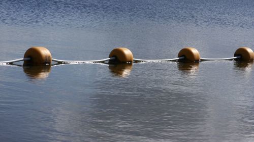 Close-up of metal chain on lake against wall