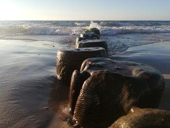 Scenic view of sea against sky