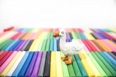 Close-up of birds over white background