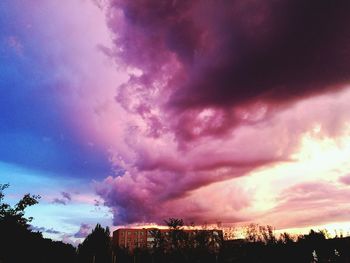 Silhouette of trees against dramatic sky