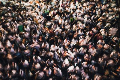 High angle view of group of people