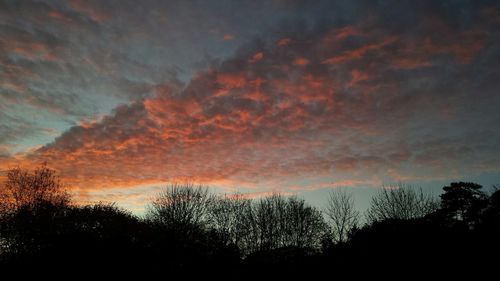 Silhouette of trees against cloudy sky