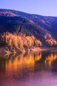 Scenic view of lake by trees against sky