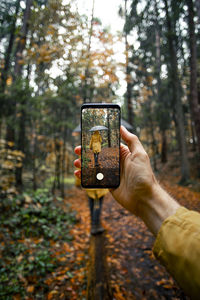 Cropped hand of person holding mobile phone in forest