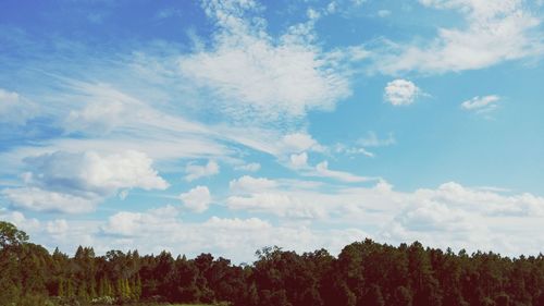 Low angle view of trees against cloudy sky