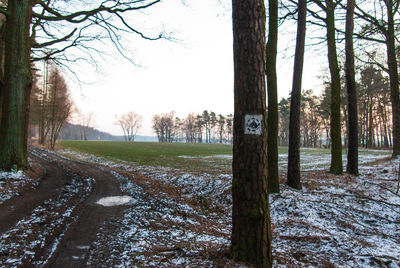 Trees on snowy field against sky during winter