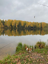 When the weather is good, you can go fishing or just relax and spend time outdoors with a dog.