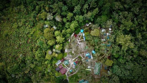 High angle view of plants growing on field