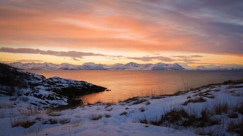 Snow covered beach against scenic sky