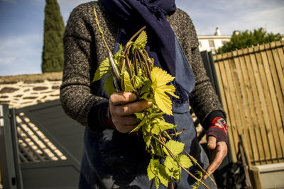 Midsection of woman holding flower