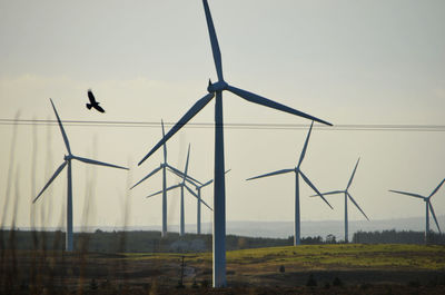 Wind turbines on landscape