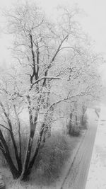 Bare tree on snow covered landscape