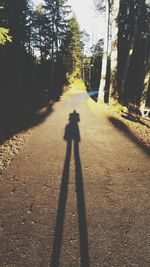 shadow