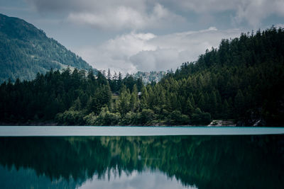 Scenic view of lake by trees against sky