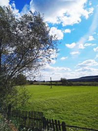 Scenic view of field against sky