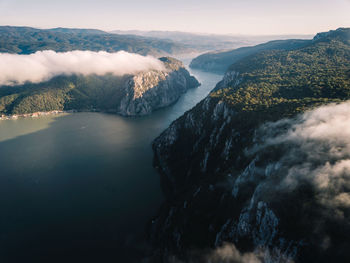 Aerial view of river amidst trees against sky