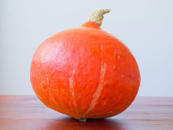 Close-up of pumpkin against white background