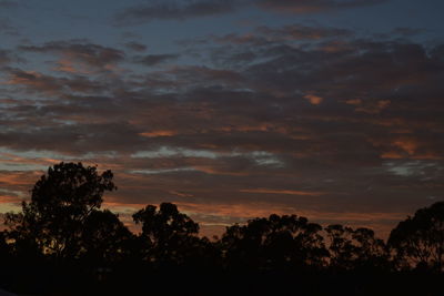 Silhouette trees against sky during sunset