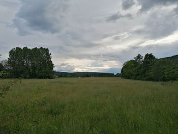 Scenic view of field against sky